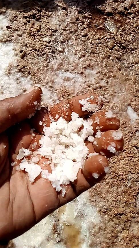 Salt from the Habulay basin